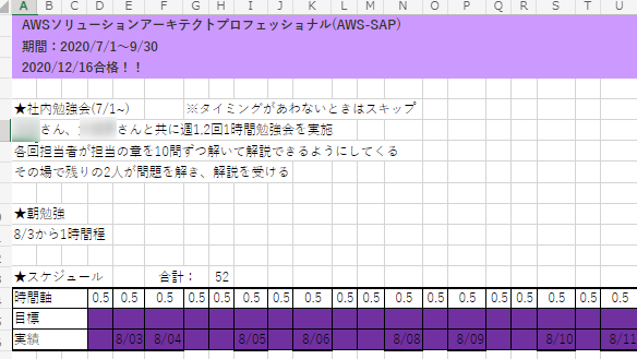 AWS Certified Solutions Architect Professional 勉強時間